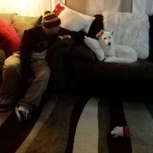 Meet your Posher, Daniel